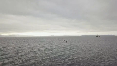 Ship sailing in sea on cloudy sky background. Aerial landscape from flying drone Stock Footage 92600093