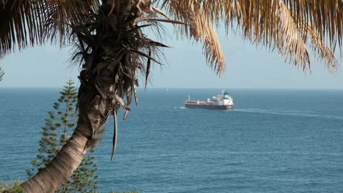 Ship sails on the blue ocean, viewed from behind a palm tree Stock Footage 279853058