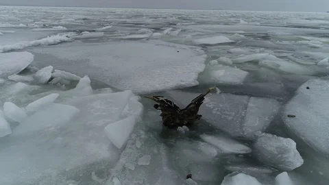 The ship sails through the sea ice in the winter. child pirate ship in ice. Stock Footage 87858901