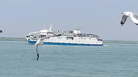 Ship In The Sea At Day Time Stock Footage 264088865