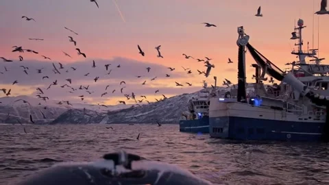 Ship in the sea Stock Footage 252435262