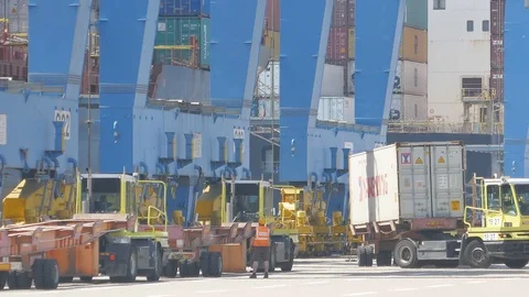 Ship to shore cranes containers transferred from ship to terminal 4k Stock Footage 108884456