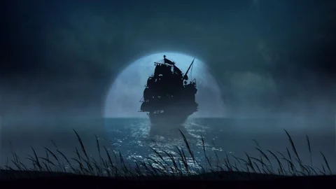 Ship Silhouette Blowing Grass in the Full Moon 4K Loop Stock Footage 262286705