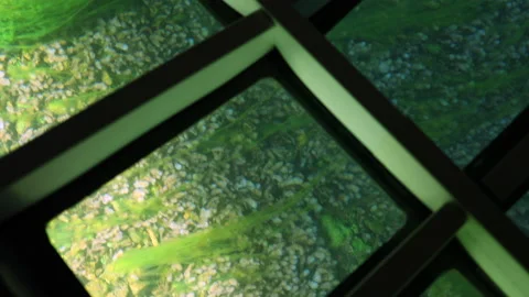 A ship with a transparent bottom. Bathyscaphe Vídeo Stock 157222379
