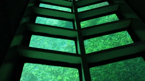 A ship with a transparent bottom. Bathyscaphe Stock Footage 157227862