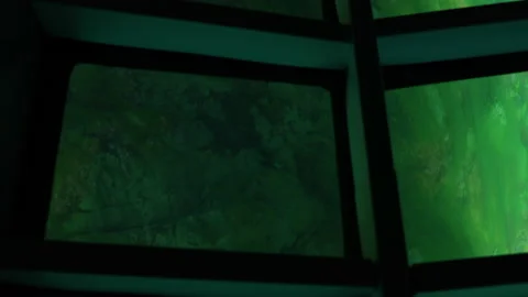 A ship with a transparent bottom. Bathyscaphe Video stock 157229280
