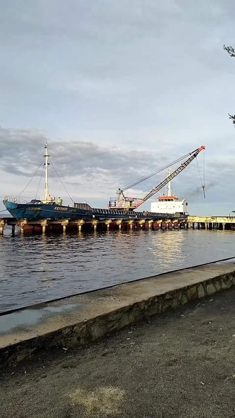 Ship transporting goods with heavy equipment carrier Stock Footage 220528049