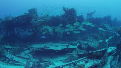 Ship Wreck Deep Water - The Bimini Barge Stock Footage 77319652