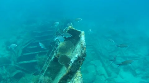 Ship Wreck Stock Footage 7903684