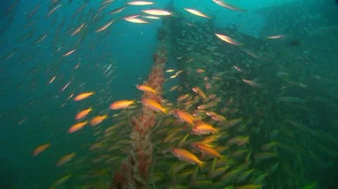 Ship wreck Stock Footage 10897331