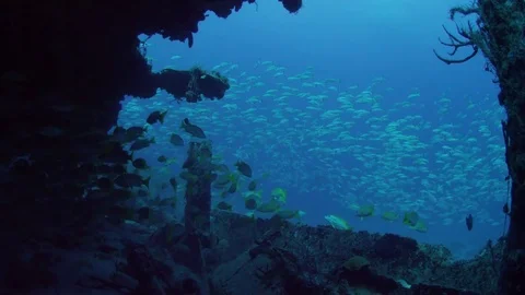 Ship wreck from inside swimming out Video stock 77320916
