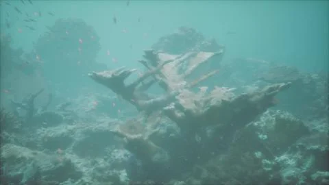 A ship wreck in the ocean surrounded by fish Stock Illustration