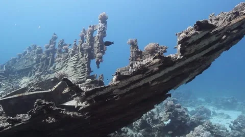 Ship wreck under water Stock Footage 170782241