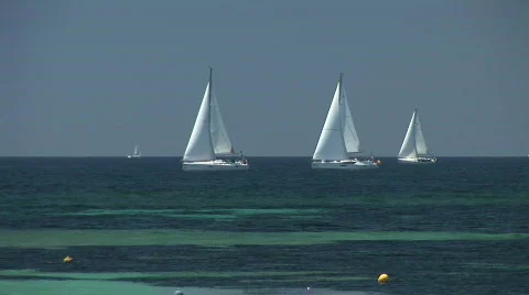 Ship Yachts With White Sails Vídeo Stock 633305