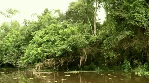 Shipping On Amazon River Stock Footage 10803161