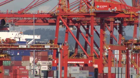 Shipping cranes moving containers Stockbeeldmateriaal 48342496