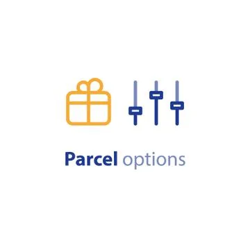 Shipping options, shipment services, parcel parameters, box size and weight Stock Illustration