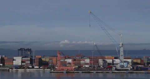 Shipping Port 1 Stock Footage 127479088