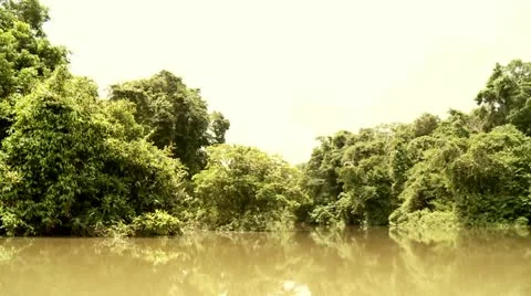 Shipping on River in Rainforest (Amazon, Peru) Stock Footage
