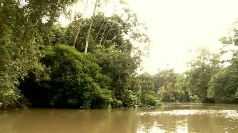Shipping on River in Rainforest (Amazon, Peru) Stock Footage