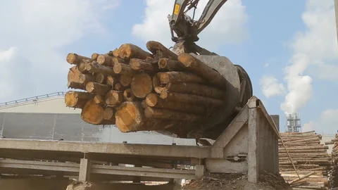 Shipping timber. Loading felled trees in the timber crane. Stock Footage 90009352