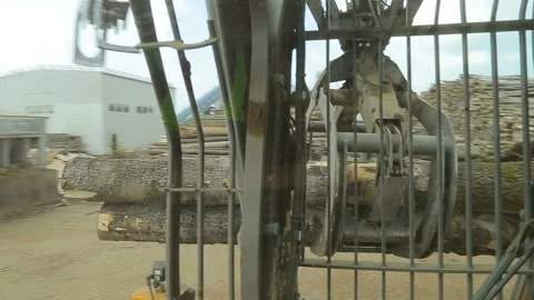 Shipping timber. Loading felled trees in the timber crane. Stock Footage 90009530