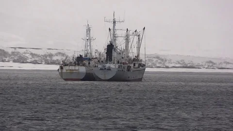 Ships overloaders Vídeo Stock 74751440