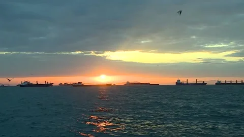 Ships in the sunset Video stock 147022094