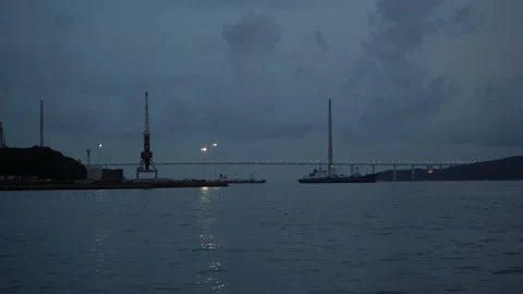 Ships under the bridge. Huge cable-stayed bridge. Many vessels. Evening. View Stock Footage 165000910