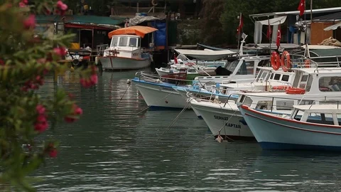 Ships02 Stock Footage 123730263