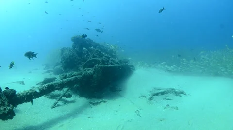 Shipwreck and diver Stock Footage 33867153