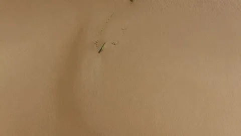 A shipwreck on Anglesey Stock Footage 234070464