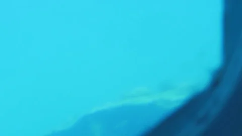 Shipwreck with fish 4k Stock Footage 73339687