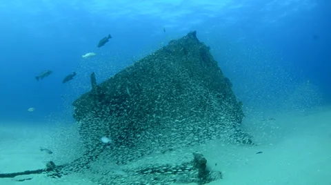 Shipwreck with fish Stock Footage 33862210