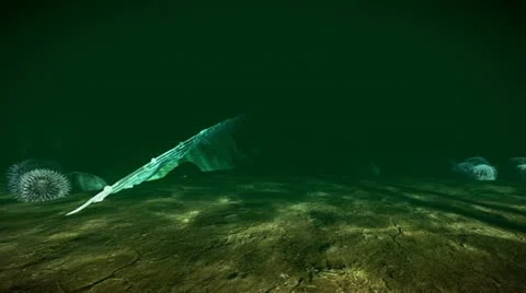 Shipwreck Stock Footage 19334382