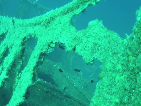 Shipwreck Stock Footage 87297857