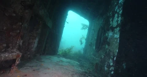Shipwreck - Inside - Windows POV Clip1815 스톡 동영상 203919617