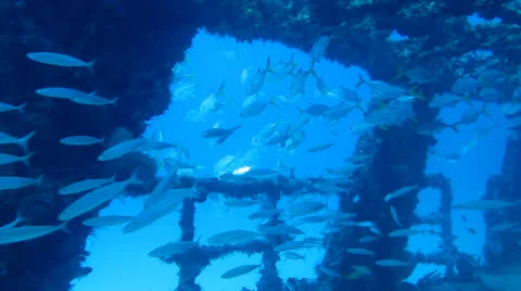 Shipwreck Mexican Caribbean Stock Footage 24636962