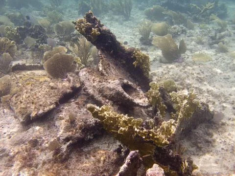 Shipwreck Stock-Fotos