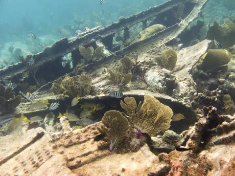 Shipwreck Stock-Fotos