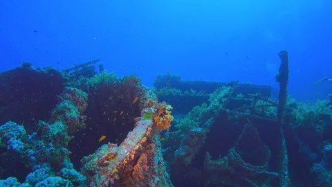 Shipwreck on the Sea Bottom Stock Footage 93896465