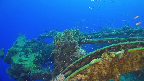 Shipwreck on the Sea Bottom Stock Footage 93911041