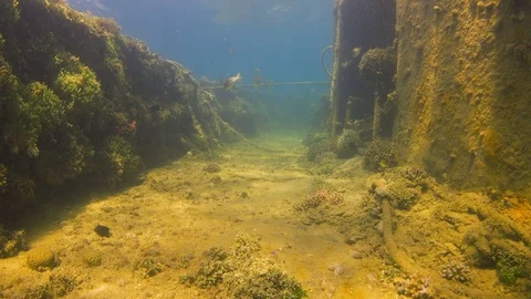 Shipwreck on the Sea Bottom Stock Footage 94052585