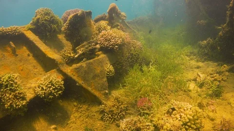 Shipwreck on the Sea Bottom Stock Footage 94052587