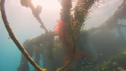 Shipwreck on the Sea Bottom Stock Footage 94052615
