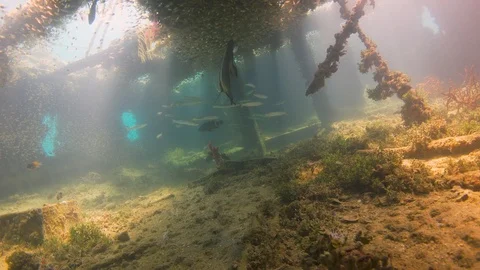 Shipwreck on the Sea Bottom Stock Footage 94052640