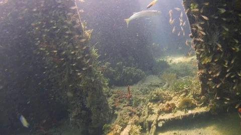 Shipwreck on the Sea Bottom Stock Footage 94052645
