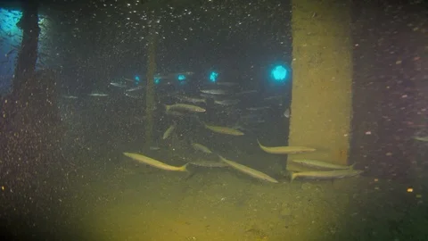 Shipwreck on the Sea Bottom Stock Footage 94052710