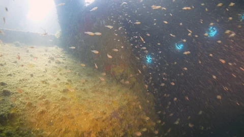 Shipwreck on the Sea Bottom Stock Footage 94052725