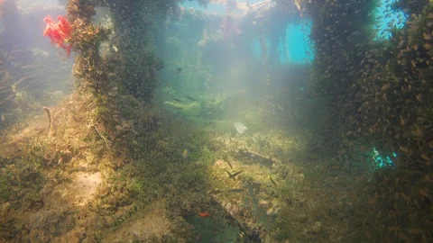Shipwreck on the Sea Bottom Stock Footage 94052772